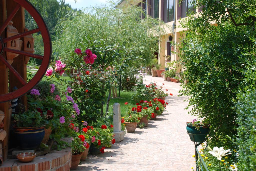 Villa Giulia Islaz Luaran gambar
